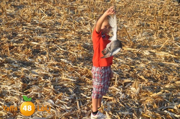 7amam lud monir 908 (50).JPG